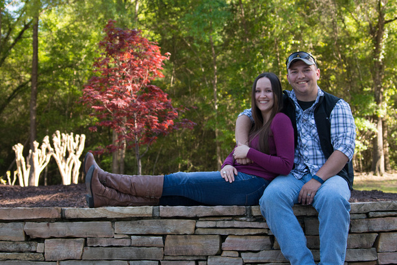 Family Photo Sessions