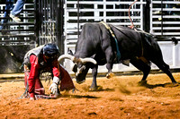 Rodeo-548