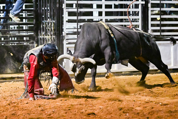 Rodeo-548